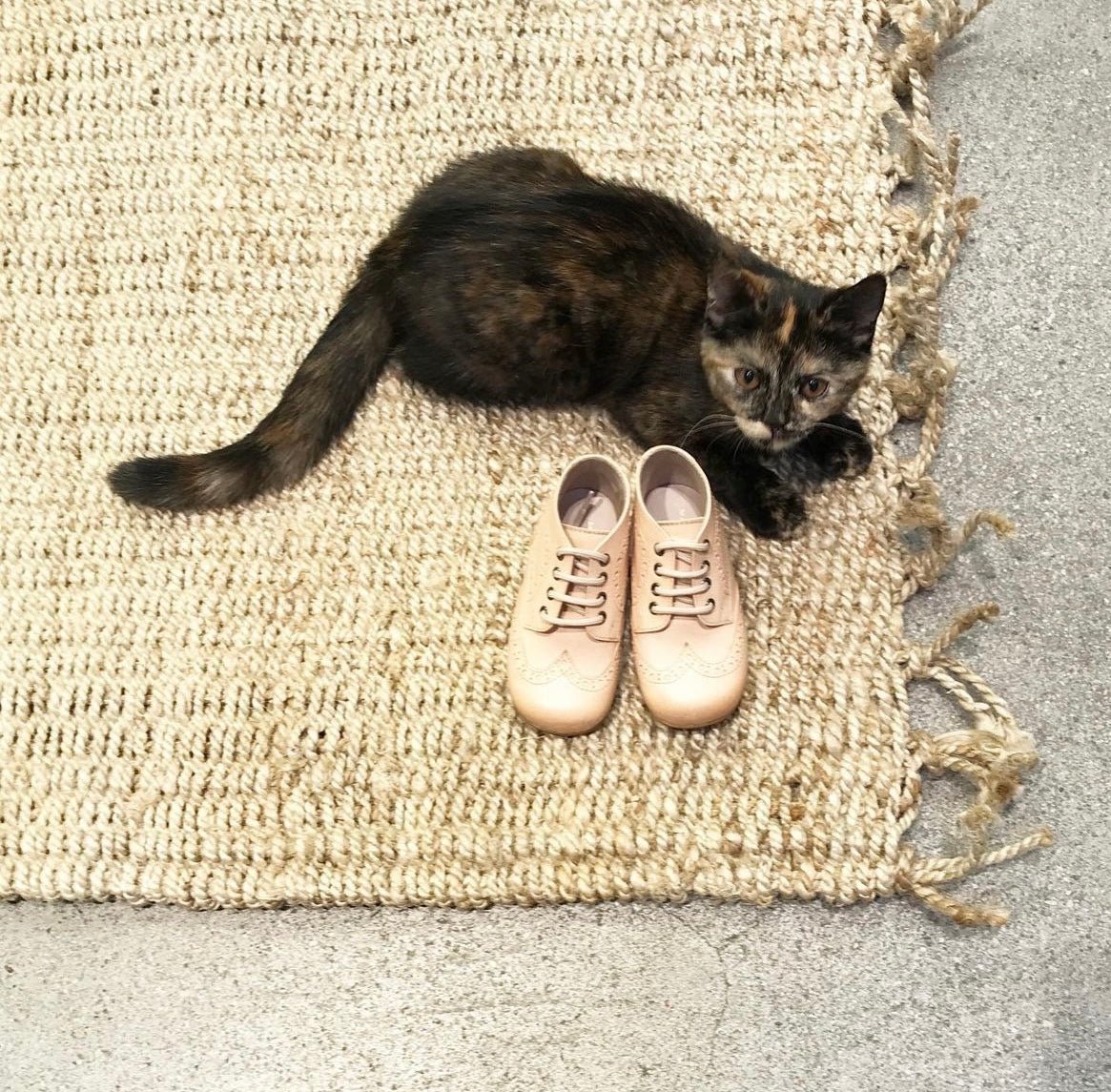 Lauflernschuhe - Marie Morenz
